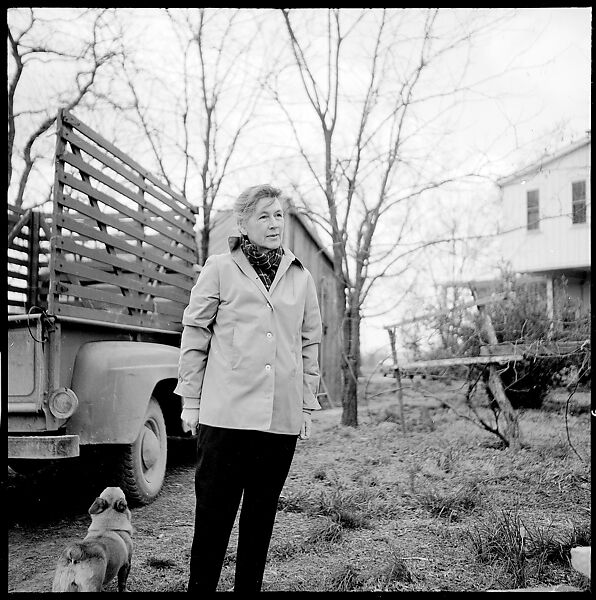 [179 Interior and Exterior Views of Mabry House, Allensville, Kentucky, and Portraits of Unidentified People Outdoors and on Horseback], Walker Evans (American, St. Louis, Missouri 1903–1975 New Haven, Connecticut), Film negative