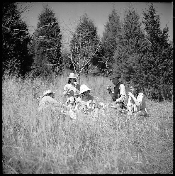 [179 Interior and Exterior Views of Mabry House, Allensville, Kentucky, and Portraits of Unidentified People Outdoors and on Horseback], Walker Evans (American, St. Louis, Missouri 1903–1975 New Haven, Connecticut), Film negative