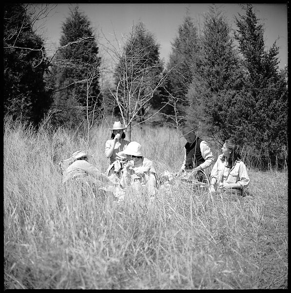 [179 Interior and Exterior Views of Mabry House, Allensville, Kentucky, and Portraits of Unidentified People Outdoors and on Horseback], Walker Evans (American, St. Louis, Missouri 1903–1975 New Haven, Connecticut), Film negative