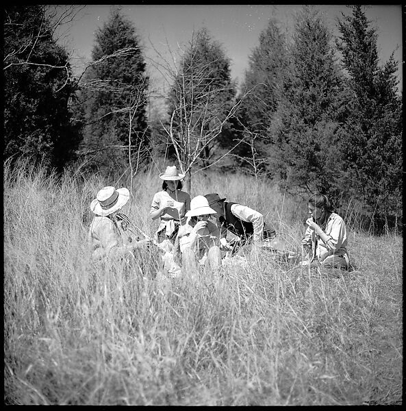 [179 Interior and Exterior Views of Mabry House, Allensville, Kentucky, and Portraits of Unidentified People Outdoors and on Horseback], Walker Evans (American, St. Louis, Missouri 1903–1975 New Haven, Connecticut), Film negative