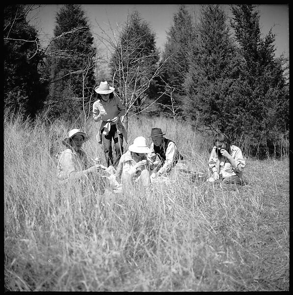 [179 Interior and Exterior Views of Mabry House, Allensville, Kentucky, and Portraits of Unidentified People Outdoors and on Horseback], Walker Evans (American, St. Louis, Missouri 1903–1975 New Haven, Connecticut), Film negative