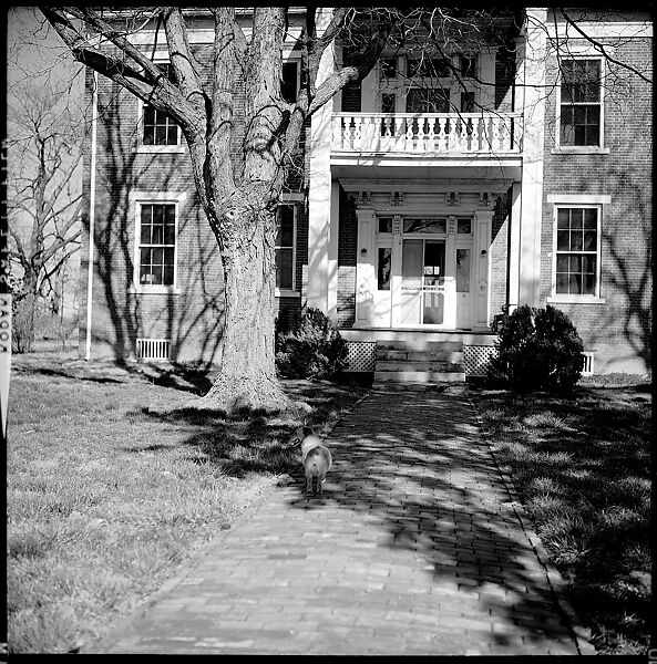 [179 Interior and Exterior Views of Mabry House, Allensville, Kentucky, and Portraits of Unidentified People Outdoors and on Horseback], Walker Evans (American, St. Louis, Missouri 1903–1975 New Haven, Connecticut), Film negative