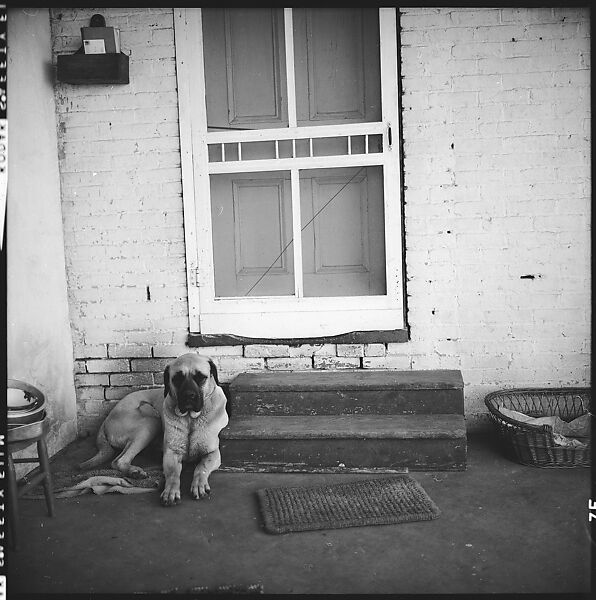 [179 Interior and Exterior Views of Mabry House, Allensville, Kentucky, and Portraits of Unidentified People Outdoors and on Horseback], Walker Evans (American, St. Louis, Missouri 1903–1975 New Haven, Connecticut), Film negative