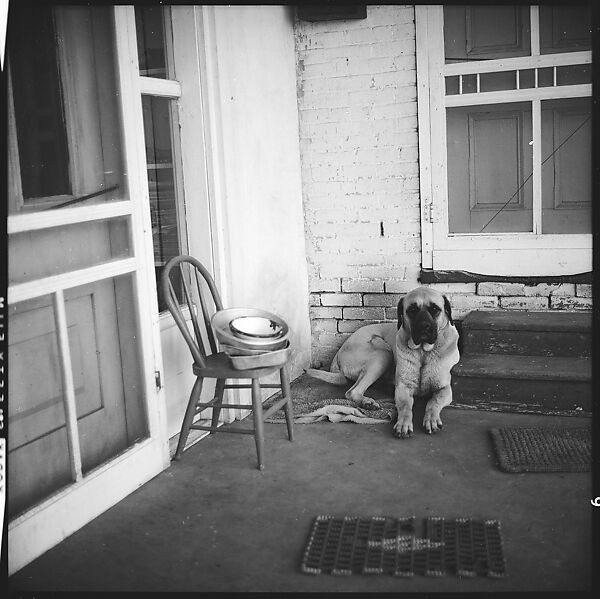 [179 Interior and Exterior Views of Mabry House, Allensville, Kentucky, and Portraits of Unidentified People Outdoors and on Horseback], Walker Evans (American, St. Louis, Missouri 1903–1975 New Haven, Connecticut), Film negative