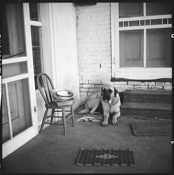 [179 Interior and Exterior Views of Mabry House, Allensville, Kentucky, and Portraits of Unidentified People Outdoors and on Horseback], Walker Evans (American, St. Louis, Missouri 1903–1975 New Haven, Connecticut), Film negative