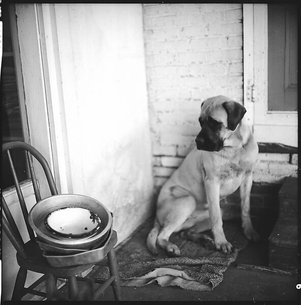 [179 Interior and Exterior Views of Mabry House, Allensville, Kentucky, and Portraits of Unidentified People Outdoors and on Horseback], Walker Evans (American, St. Louis, Missouri 1903–1975 New Haven, Connecticut), Film negative