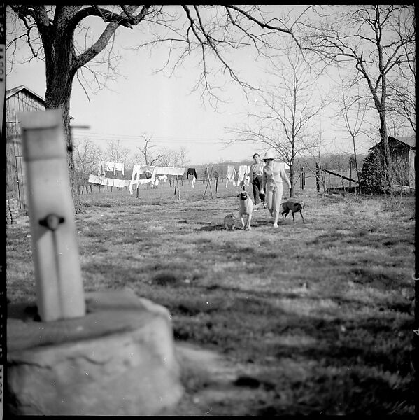 [179 Interior and Exterior Views of Mabry House, Allensville, Kentucky, and Portraits of Unidentified People Outdoors and on Horseback], Walker Evans (American, St. Louis, Missouri 1903–1975 New Haven, Connecticut), Film negative
