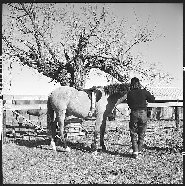 [179 Interior and Exterior Views of Mabry House, Allensville, Kentucky, and Portraits of Unidentified People Outdoors and on Horseback], Walker Evans (American, St. Louis, Missouri 1903–1975 New Haven, Connecticut), Film negative