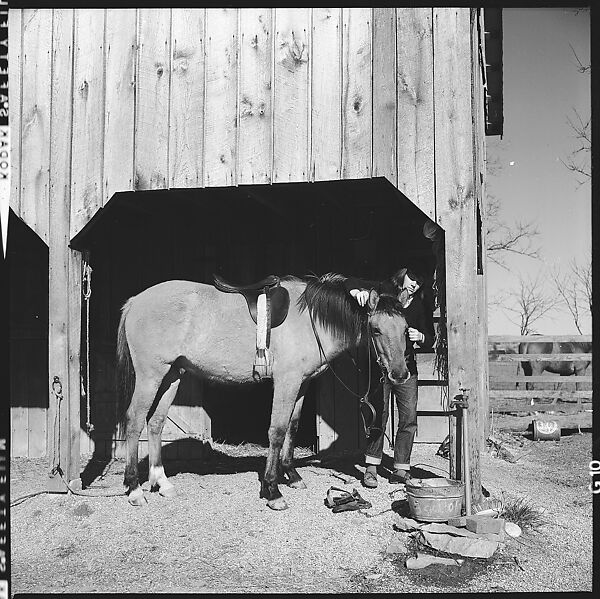 [179 Interior and Exterior Views of Mabry House, Allensville, Kentucky, and Portraits of Unidentified People Outdoors and on Horseback], Walker Evans (American, St. Louis, Missouri 1903–1975 New Haven, Connecticut), Film negative