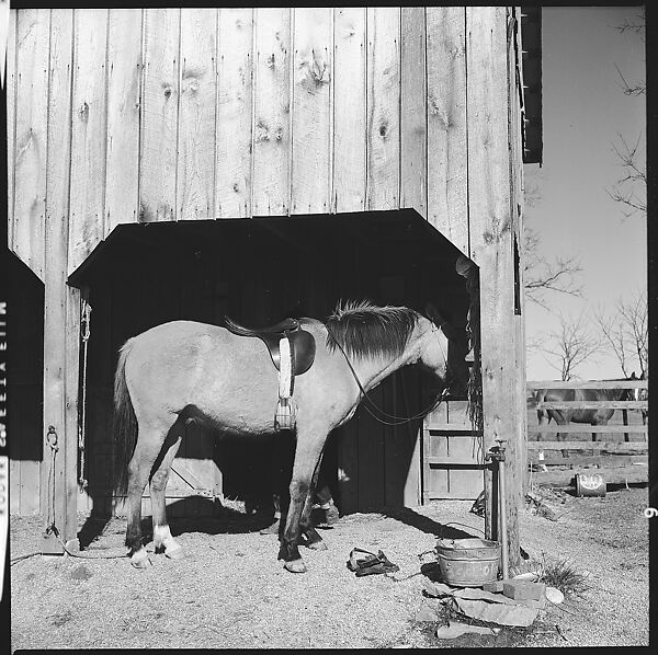 [179 Interior and Exterior Views of Mabry House, Allensville, Kentucky, and Portraits of Unidentified People Outdoors and on Horseback], Walker Evans (American, St. Louis, Missouri 1903–1975 New Haven, Connecticut), Film negative