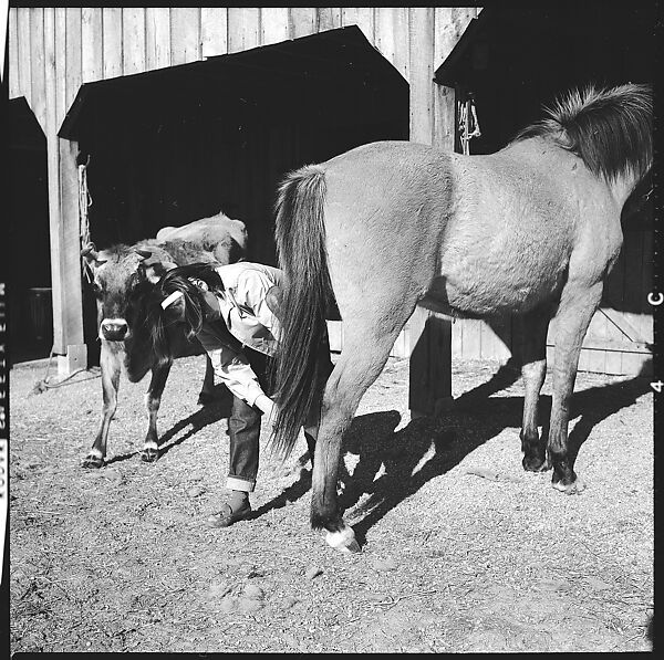 [179 Interior and Exterior Views of Mabry House, Allensville, Kentucky, and Portraits of Unidentified People Outdoors and on Horseback], Walker Evans (American, St. Louis, Missouri 1903–1975 New Haven, Connecticut), Film negative