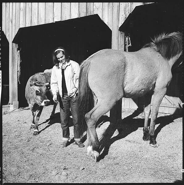 [179 Interior and Exterior Views of Mabry House, Allensville, Kentucky, and Portraits of Unidentified People Outdoors and on Horseback], Walker Evans (American, St. Louis, Missouri 1903–1975 New Haven, Connecticut), Film negative