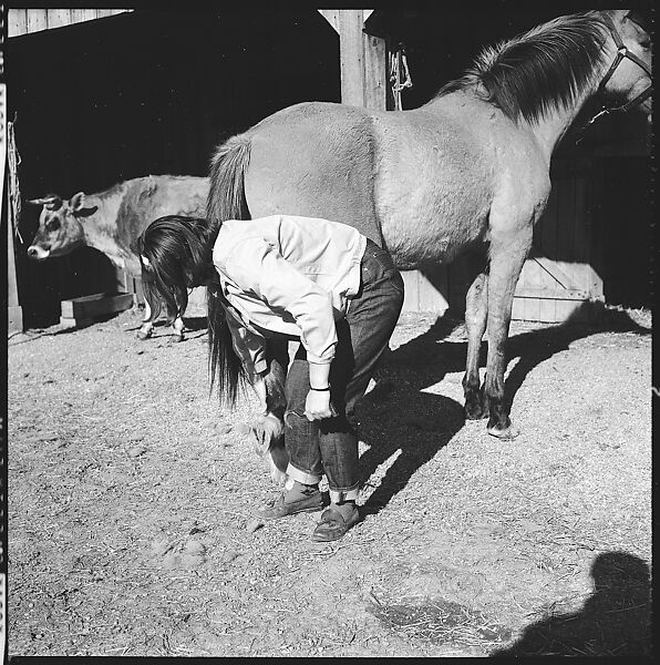 [179 Interior and Exterior Views of Mabry House, Allensville, Kentucky, and Portraits of Unidentified People Outdoors and on Horseback], Walker Evans (American, St. Louis, Missouri 1903–1975 New Haven, Connecticut), Film negative