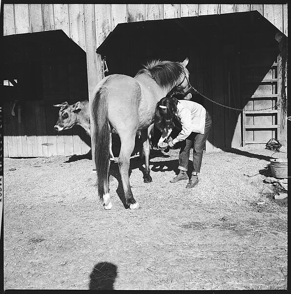[179 Interior and Exterior Views of Mabry House, Allensville, Kentucky, and Portraits of Unidentified People Outdoors and on Horseback], Walker Evans (American, St. Louis, Missouri 1903–1975 New Haven, Connecticut), Film negative