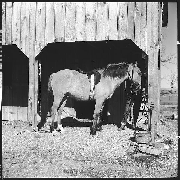 [179 Interior and Exterior Views of Mabry House, Allensville, Kentucky, and Portraits of Unidentified People Outdoors and on Horseback], Walker Evans (American, St. Louis, Missouri 1903–1975 New Haven, Connecticut), Film negative