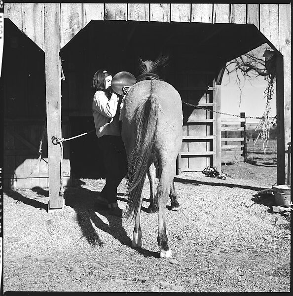 [179 Interior and Exterior Views of Mabry House, Allensville, Kentucky, and Portraits of Unidentified People Outdoors and on Horseback], Walker Evans (American, St. Louis, Missouri 1903–1975 New Haven, Connecticut), Film negative