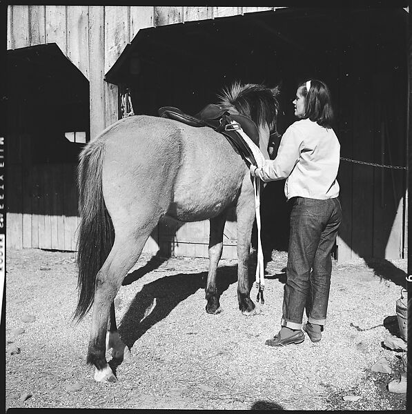 [179 Interior and Exterior Views of Mabry House, Allensville, Kentucky, and Portraits of Unidentified People Outdoors and on Horseback], Walker Evans (American, St. Louis, Missouri 1903–1975 New Haven, Connecticut), Film negative