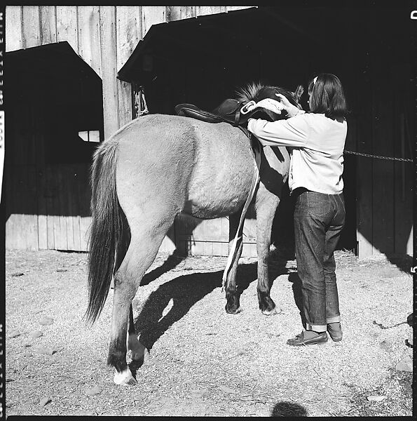 [179 Interior and Exterior Views of Mabry House, Allensville, Kentucky, and Portraits of Unidentified People Outdoors and on Horseback], Walker Evans (American, St. Louis, Missouri 1903–1975 New Haven, Connecticut), Film negative