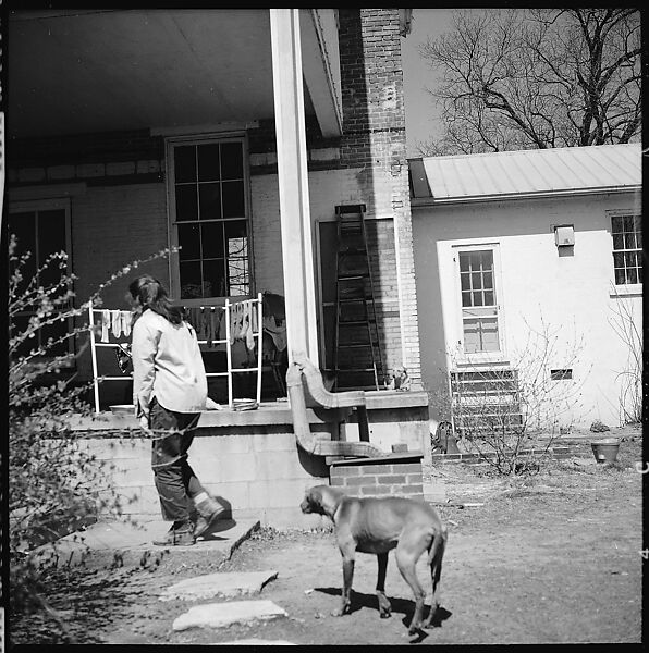 [179 Interior and Exterior Views of Mabry House, Allensville, Kentucky, and Portraits of Unidentified People Outdoors and on Horseback], Walker Evans (American, St. Louis, Missouri 1903–1975 New Haven, Connecticut), Film negative