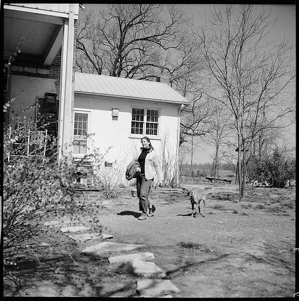 [179 Interior and Exterior Views of Mabry House, Allensville, Kentucky, and Portraits of Unidentified People Outdoors and on Horseback], Walker Evans (American, St. Louis, Missouri 1903–1975 New Haven, Connecticut), Film negative