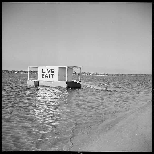 [75 Views of Storefronts, Architecture, Railroad Details in Colorado, and Views of Photography Installation and Campus of University of California, Santa Cruz], Walker Evans (American, St. Louis, Missouri 1903–1975 New Haven, Connecticut), Film negative