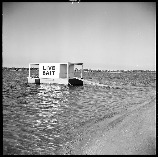 [75 Views of Storefronts, Architecture, Railroad Details in Colorado, and Views of Photography Installation and Campus of University of California, Santa Cruz], Walker Evans (American, St. Louis, Missouri 1903–1975 New Haven, Connecticut), Film negative