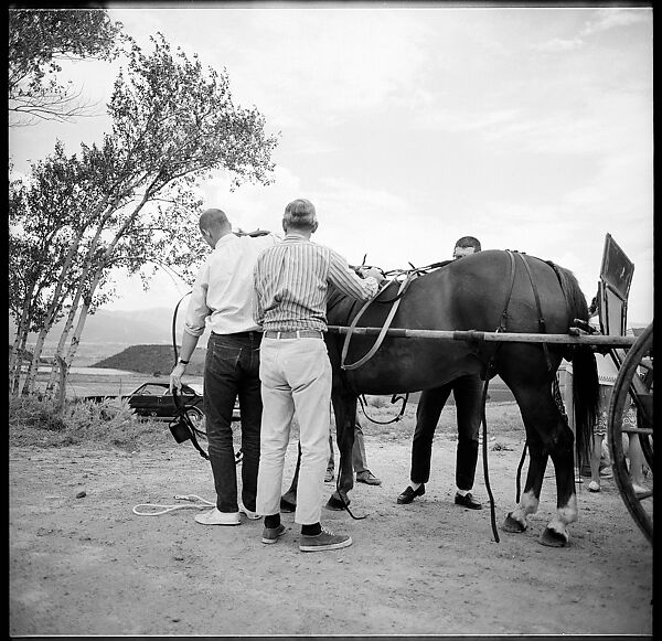 [132 Interior and Exterior Views of the Barnes House, Colorado and Campus of the University of California, Santa Cruz], Walker Evans (American, St. Louis, Missouri 1903–1975 New Haven, Connecticut), Film negative