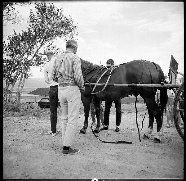 [132 Interior and Exterior Views of the Barnes House, Colorado and Campus of the University of California, Santa Cruz], Walker Evans (American, St. Louis, Missouri 1903–1975 New Haven, Connecticut), Film negative