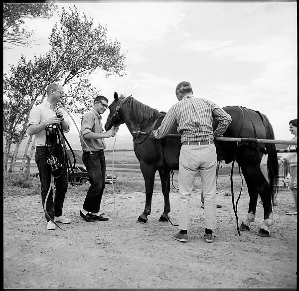 [132 Interior and Exterior Views of the Barnes House, Colorado and Campus of the University of California, Santa Cruz], Walker Evans (American, St. Louis, Missouri 1903–1975 New Haven, Connecticut), Film negative
