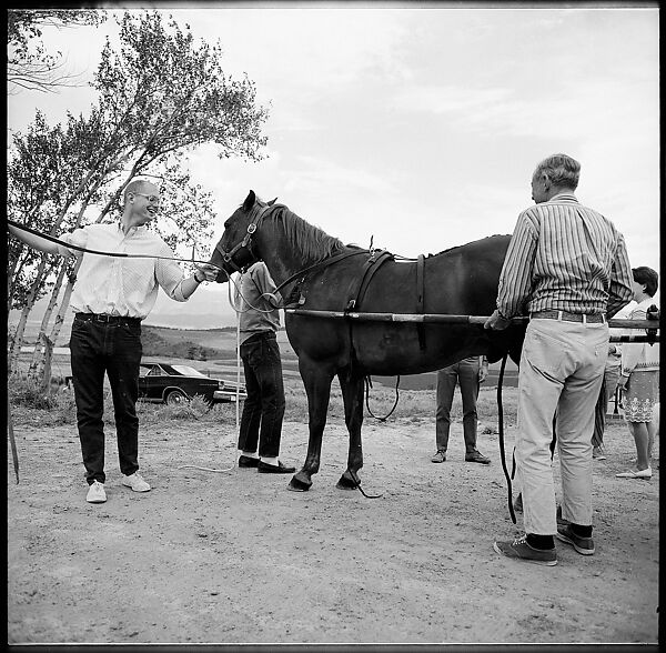 [132 Interior and Exterior Views of the Barnes House, Colorado and Campus of the University of California, Santa Cruz], Walker Evans (American, St. Louis, Missouri 1903–1975 New Haven, Connecticut), Film negative