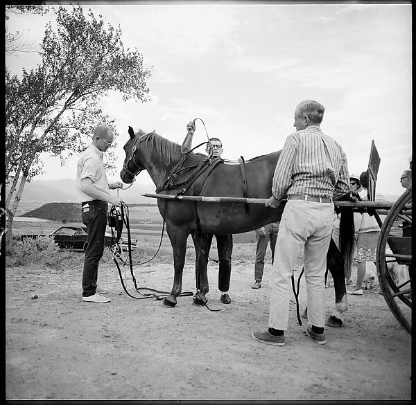 [132 Interior and Exterior Views of the Barnes House, Colorado and Campus of the University of California, Santa Cruz], Walker Evans (American, St. Louis, Missouri 1903–1975 New Haven, Connecticut), Film negative