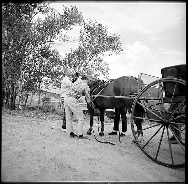 [132 Interior and Exterior Views of the Barnes House, Colorado and Campus of the University of California, Santa Cruz], Walker Evans (American, St. Louis, Missouri 1903–1975 New Haven, Connecticut), Film negative