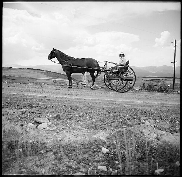 [132 Interior and Exterior Views of the Barnes House, Colorado and Campus of the University of California, Santa Cruz], Walker Evans (American, St. Louis, Missouri 1903–1975 New Haven, Connecticut), Film negative
