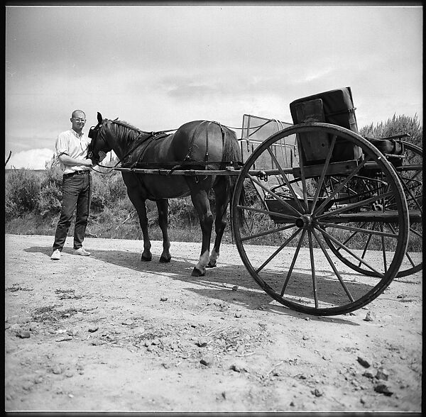 [132 Interior and Exterior Views of the Barnes House, Colorado and Campus of the University of California, Santa Cruz], Walker Evans (American, St. Louis, Missouri 1903–1975 New Haven, Connecticut), Film negative