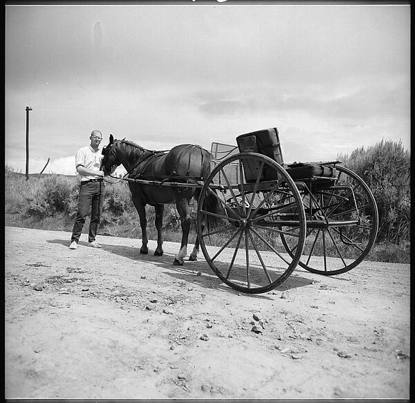 [132 Interior and Exterior Views of the Barnes House, Colorado and Campus of the University of California, Santa Cruz], Walker Evans (American, St. Louis, Missouri 1903–1975 New Haven, Connecticut), Film negative