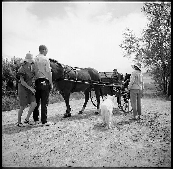 [132 Interior and Exterior Views of the Barnes House, Colorado and Campus of the University of California, Santa Cruz], Walker Evans (American, St. Louis, Missouri 1903–1975 New Haven, Connecticut), Film negative