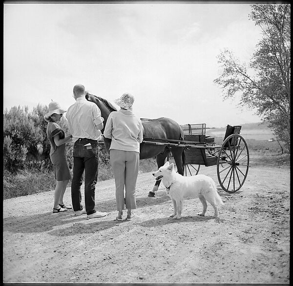 [132 Interior and Exterior Views of the Barnes House, Colorado and Campus of the University of California, Santa Cruz], Walker Evans (American, St. Louis, Missouri 1903–1975 New Haven, Connecticut), Film negative