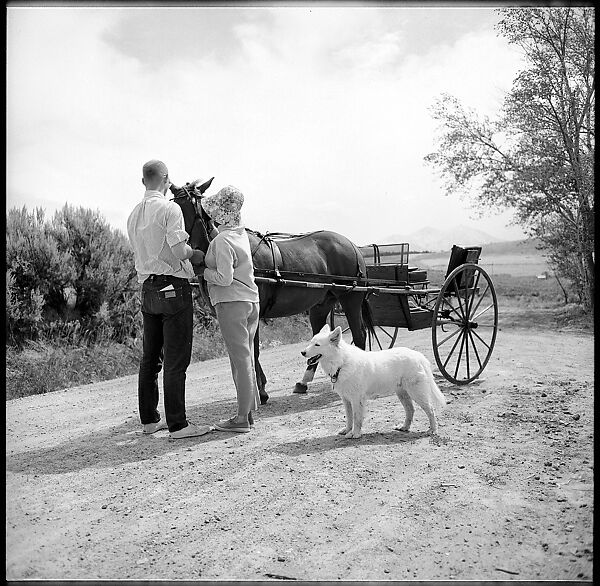 [132 Interior and Exterior Views of the Barnes House, Colorado and Campus of the University of California, Santa Cruz], Walker Evans (American, St. Louis, Missouri 1903–1975 New Haven, Connecticut), Film negative