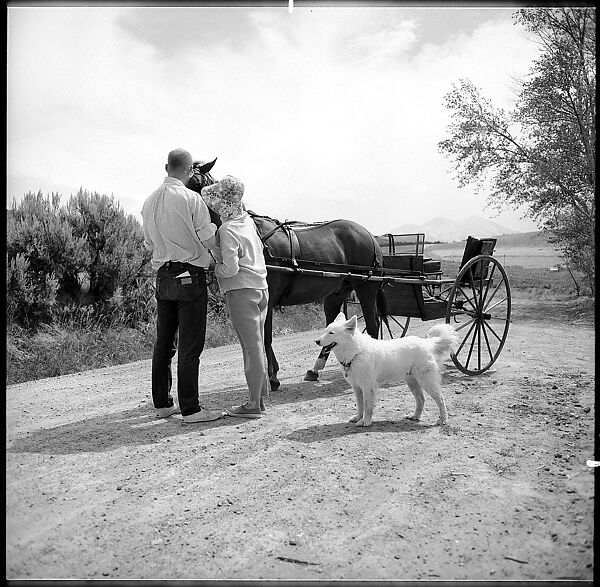 [132 Interior and Exterior Views of the Barnes House, Colorado and Campus of the University of California, Santa Cruz], Walker Evans (American, St. Louis, Missouri 1903–1975 New Haven, Connecticut), Film negative