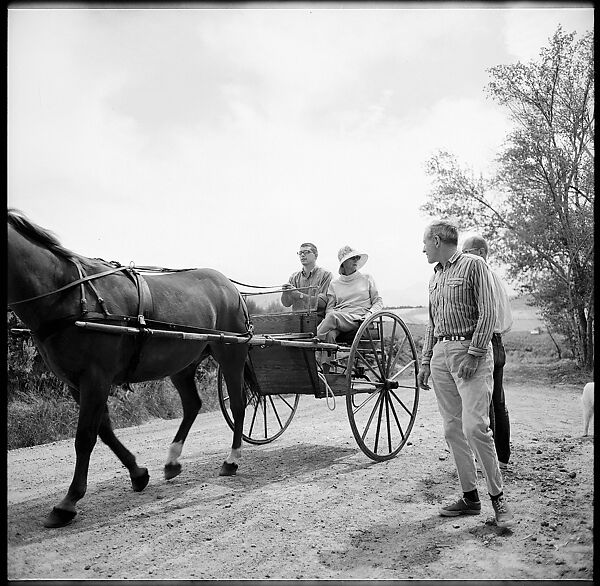 [132 Interior and Exterior Views of the Barnes House, Colorado and Campus of the University of California, Santa Cruz], Walker Evans (American, St. Louis, Missouri 1903–1975 New Haven, Connecticut), Film negative