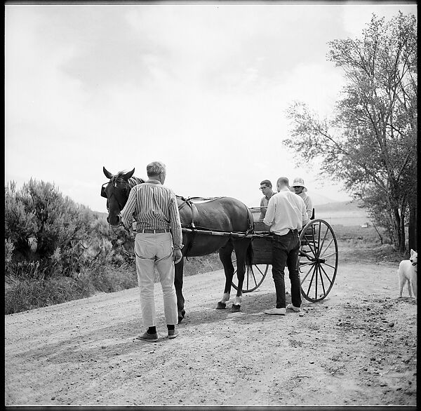 [132 Interior and Exterior Views of the Barnes House, Colorado and Campus of the University of California, Santa Cruz], Walker Evans (American, St. Louis, Missouri 1903–1975 New Haven, Connecticut), Film negative