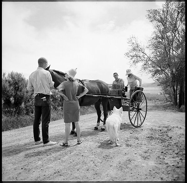 [132 Interior and Exterior Views of the Barnes House, Colorado and Campus of the University of California, Santa Cruz], Walker Evans (American, St. Louis, Missouri 1903–1975 New Haven, Connecticut), Film negative