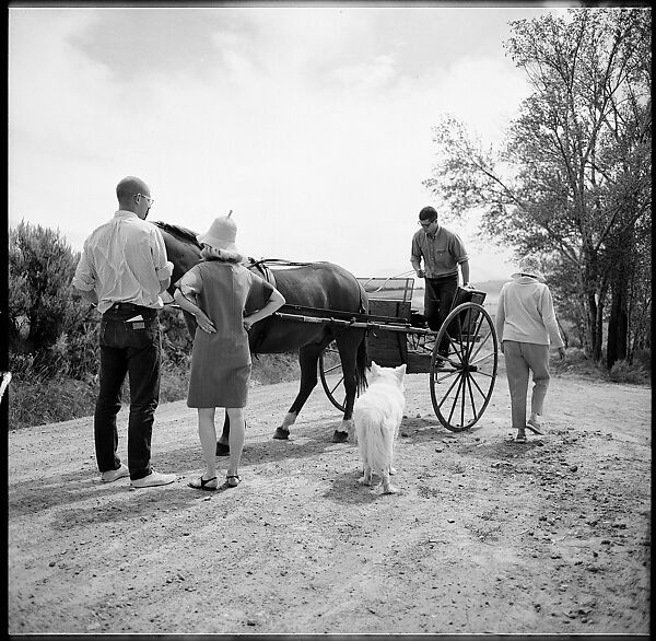 [132 Interior and Exterior Views of the Barnes House, Colorado and Campus of the University of California, Santa Cruz], Walker Evans (American, St. Louis, Missouri 1903–1975 New Haven, Connecticut), Film negative