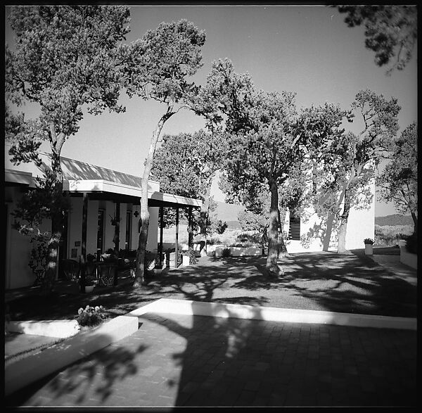 [132 Interior and Exterior Views of the Barnes House, Colorado and Campus of the University of California, Santa Cruz], Walker Evans (American, St. Louis, Missouri 1903–1975 New Haven, Connecticut), Film negative