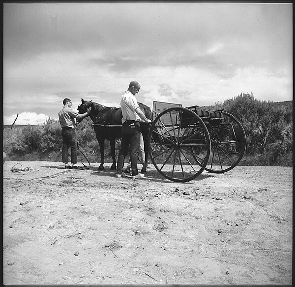 [132 Interior and Exterior Views of the Barnes House, Colorado and Campus of the University of California, Santa Cruz], Walker Evans (American, St. Louis, Missouri 1903–1975 New Haven, Connecticut), Film negative