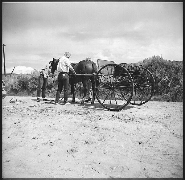 [132 Interior and Exterior Views of the Barnes House, Colorado and Campus of the University of California, Santa Cruz], Walker Evans (American, St. Louis, Missouri 1903–1975 New Haven, Connecticut), Film negative