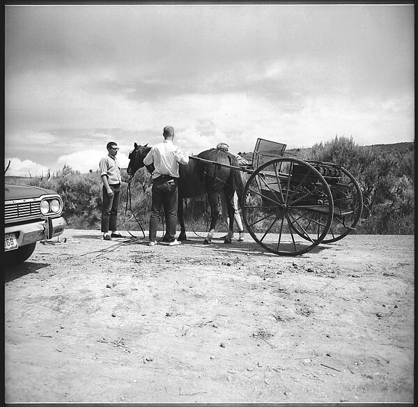 [132 Interior and Exterior Views of the Barnes House, Colorado and Campus of the University of California, Santa Cruz], Walker Evans (American, St. Louis, Missouri 1903–1975 New Haven, Connecticut), Film negative