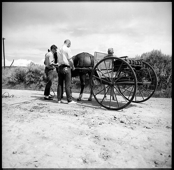 [132 Interior and Exterior Views of the Barnes House, Colorado and Campus of the University of California, Santa Cruz], Walker Evans (American, St. Louis, Missouri 1903–1975 New Haven, Connecticut), Film negative