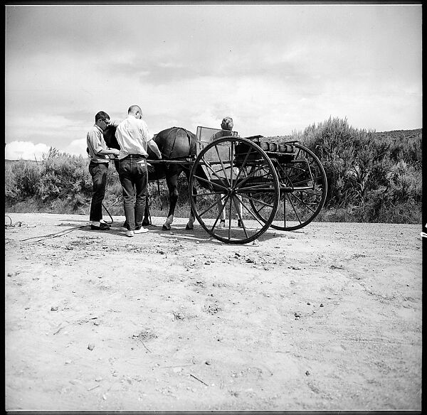 [132 Interior and Exterior Views of the Barnes House, Colorado and Campus of the University of California, Santa Cruz], Walker Evans (American, St. Louis, Missouri 1903–1975 New Haven, Connecticut), Film negative