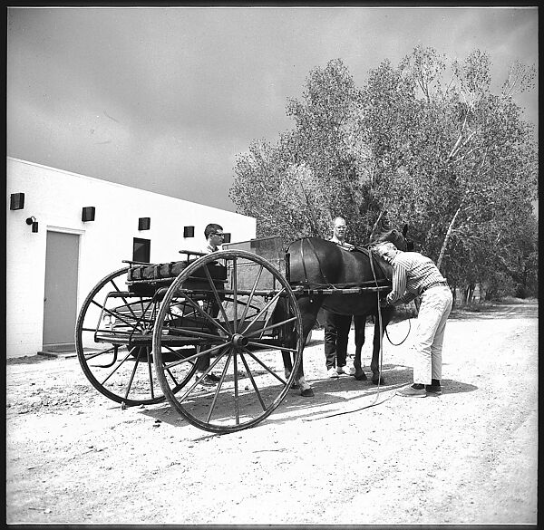 [132 Interior and Exterior Views of the Barnes House, Colorado and Campus of the University of California, Santa Cruz], Walker Evans (American, St. Louis, Missouri 1903–1975 New Haven, Connecticut), Film negative